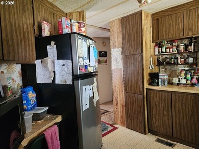 Spacious manufactured home situated on a large city lot - photo 8