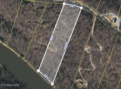 Powell River Acreage For Sale in Speedwell Tennessee