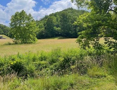 **Escape to Your Own Mini-Farm Paradise in Duck, West Virginia - - photo 12