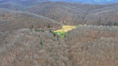 **Escape to Your Own Mini-Farm Paradise in Duck, West Virginia - - photo 14