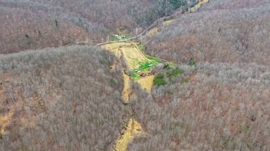**Escape to Your Own Mini-Farm Paradise in Duck, West Virginia - - photo 16