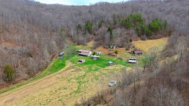 **Escape to Your Own Mini-Farm Paradise in Duck, West Virginia - - photo 18