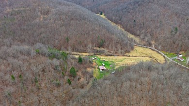 **Escape to Your Own Mini-Farm Paradise in Duck, West Virginia - - photo 23