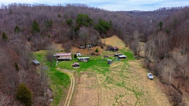 **Escape to Your Own Mini-Farm Paradise in Duck, West Virginia - - photo 25