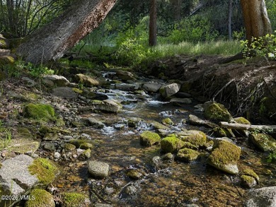 Tucked at the end of the road, this exceptional mountain estate - photo 27