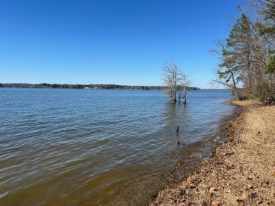 Lake Lot For Sale in Many, Louisiana