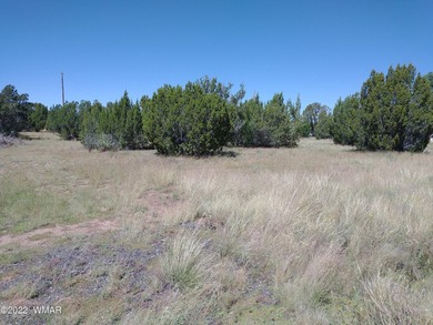 0.44 acre lot located on Spring Dr. in Concho Valley. Nice - photo 2