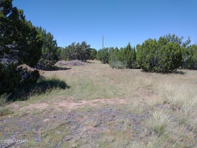 0.44 acre lot located on Spring Dr. in Concho Valley. Nice - photo 3
