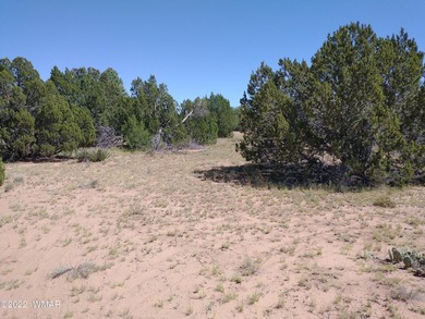 0.44 acre lot located on Spring Dr. in Concho Valley. Nice - photo 4