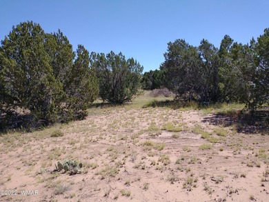 0.44 acre lot located on Spring Dr. in Concho Valley. Nice - photo 5