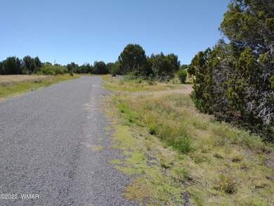 0.44 acre lot located on Spring Dr. in Concho Valley. Nice - photo 6