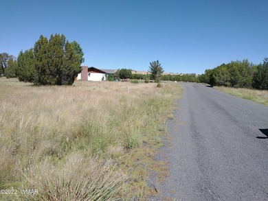 0.44 acre lot located on Spring Dr. in Concho Valley. Nice - photo 7