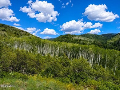 Tucked at the end of the road, this exceptional mountain estate - photo 38