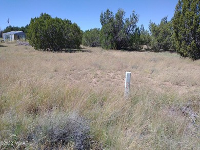 0.44 acre lot located on Spring Dr. in Concho Valley. Nice - photo 8
