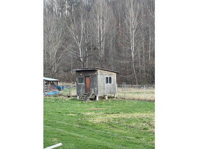 **Escape to Your Own Mini-Farm Paradise in Duck, West Virginia - - photo 41