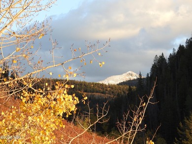 Tucked at the end of the road, this exceptional mountain estate - photo 44