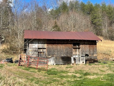 **Escape to Your Own Mini-Farm Paradise in Duck, West Virginia - - photo 45