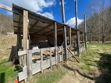**Escape to Your Own Mini-Farm Paradise in Duck, West Virginia - - photo 46