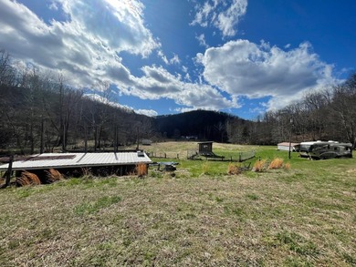 **Escape to Your Own Mini-Farm Paradise in Duck, West Virginia - - photo 49