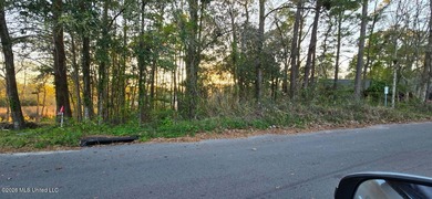Discover this beautiful 0.65-acre waterfront lot located in the - photo 1
