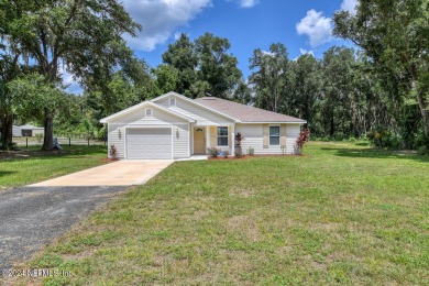 Little Orange Lake Home For Sale in Hawthorne Florida