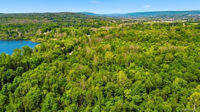 The Springs at Beekman is a fully approved, shovel-ready 199-lot - photo 11