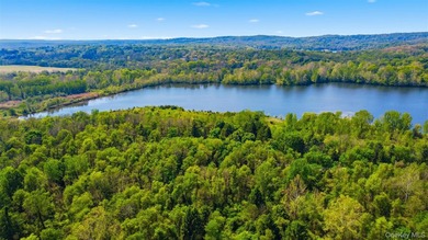 The Springs at Beekman is a fully approved, shovel-ready 199-lot - photo 12