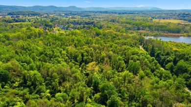 The Springs at Beekman is a fully approved, shovel-ready 199-lot - photo 13