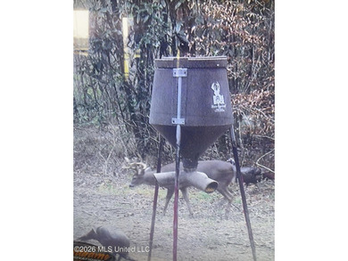 This 139 +/- acre property is located in Covington County, MS - photo 8