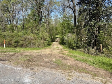 This 139 +/- acre property is located in Covington County, MS - photo 10