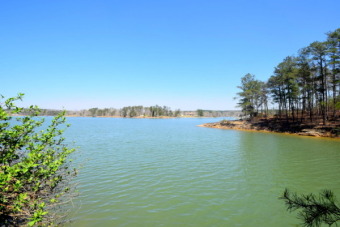104 Feet Of Gentle Sloping Waterfront On Smith Lak - Lake Lot For Sale in Double Springs, Alabama
