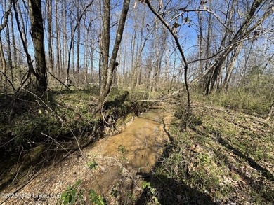 Don't Miss This Opportunity in Yazoo County, MS! Looking for the - photo 2