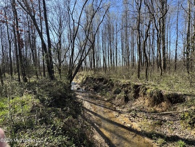 Don't Miss This Opportunity in Yazoo County, MS! Looking for the - photo 3
