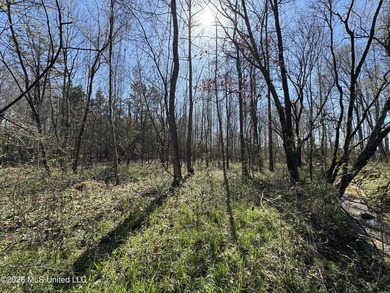 Don't Miss This Opportunity in Yazoo County, MS! Looking for the - photo 4