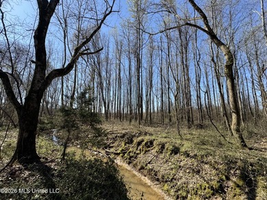 Don't Miss This Opportunity in Yazoo County, MS! Looking for the - photo 5