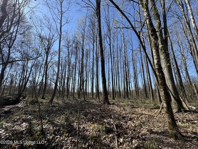 Don't Miss This Opportunity in Yazoo County, MS! Looking for the - photo 6