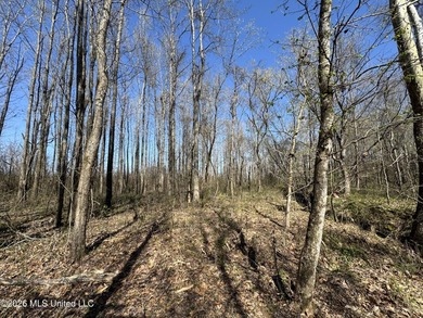 Don't Miss This Opportunity in Yazoo County, MS! Looking for the - photo 7