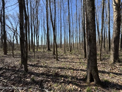 Don't Miss This Opportunity in Yazoo County, MS! Looking for the - photo 8