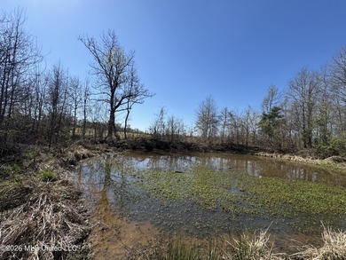 Don't Miss This Opportunity in Yazoo County, MS! Looking for the - photo 10