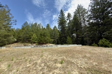 Close to build-ready 5.9 acres with ocean views! Skip the long - photo 11