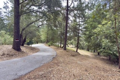 Close to build-ready 5.9 acres with ocean views! Skip the long - photo 15