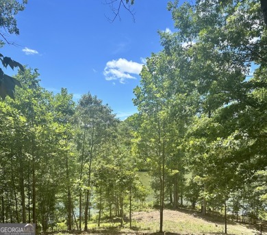 (private lake, pond, creek) Acreage For Sale in Baldwin Georgia