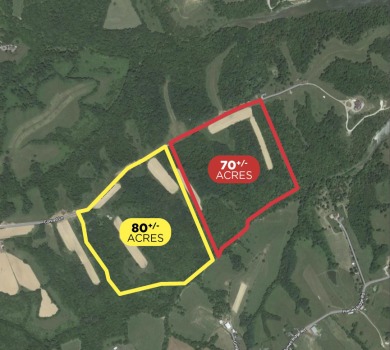(pending lake) Acreage For Sale in Williamstown Kentucky