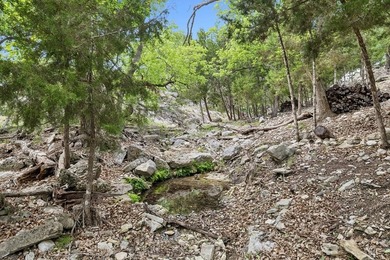 Set on 5.01 acres with a seasonal creek and natural spring, this - photo 36