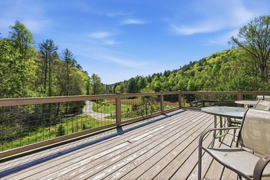 1244 Cook Creek Rd, Murphy NC - Updated Ranch on 3.52 - photo 37
