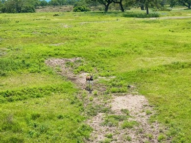 Set on 5.01 acres with a seasonal creek and natural spring, this - photo 37