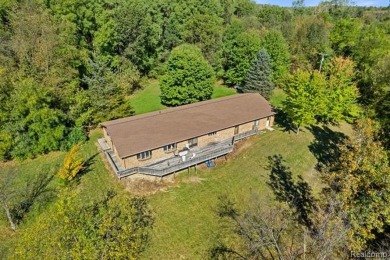 Lake Home For Sale in Brooklyn, Michigan