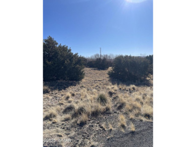 Concho Lake Lot For Sale in Concho Arizona