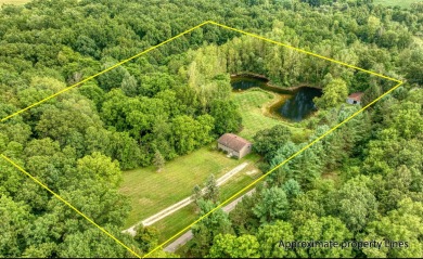 Lake Home For Sale in Manchester, Michigan