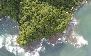 Rare Opportunity to own a piece of Paradise! Finca Caletas is a - photo 2